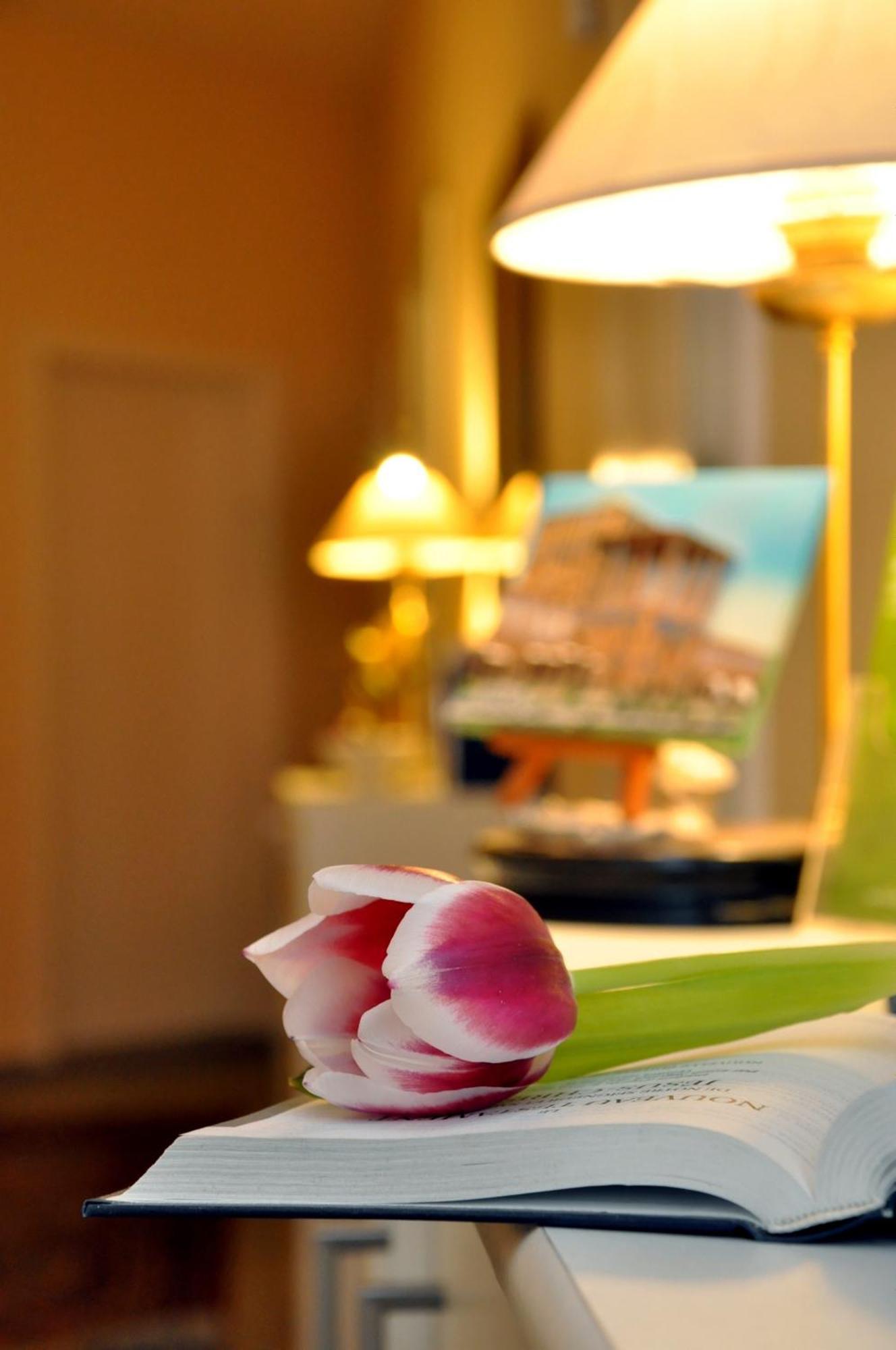 Hotel Apadana Frankfurt Frankfurt am Main Bagian luar foto
